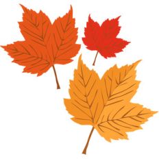 autumn leaves