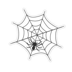 spider and web