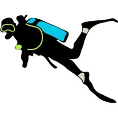 diver