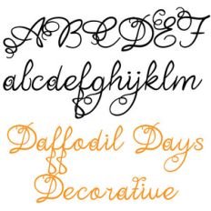 zp daffodil days decorative