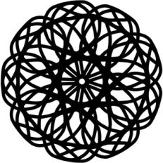 lace flower doily