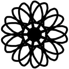 lace flower doily