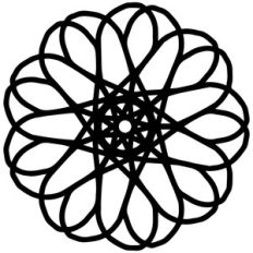lace flower doily