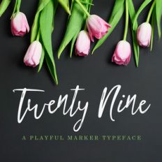 twenty nine font