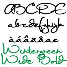 pn wintergreen wide bold