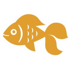 goldfish