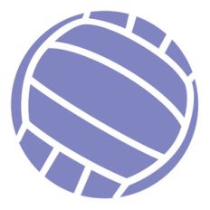 a la carte volleyball
