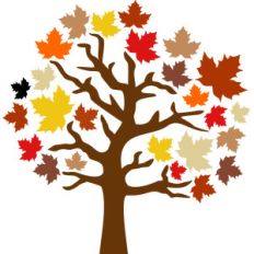 autumn tree