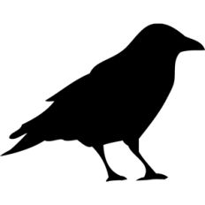 black crow