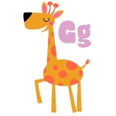zoological - giraffe