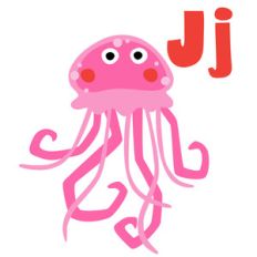 zoological - jellyfish