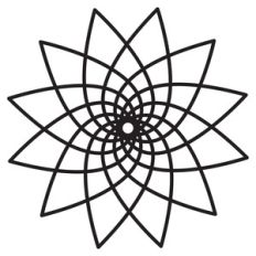 flower 12 petals