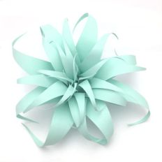 airplant 3d