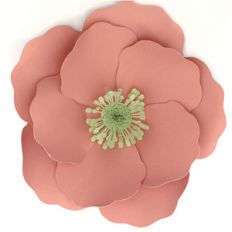 anenome 3d