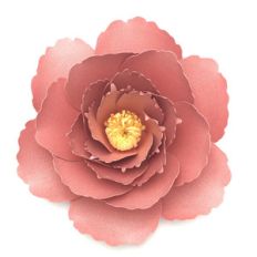 coral charm peony 3d