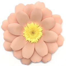 daisy 3d