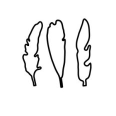 three feathers
