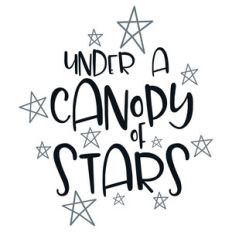 under a canopy of stars