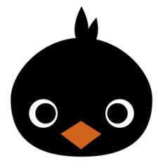 raven face