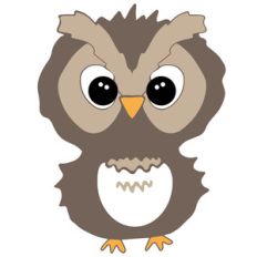 owl