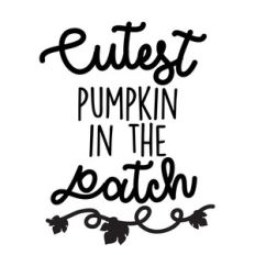 cutest pumpkin in the patch
