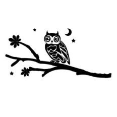 spooky owl