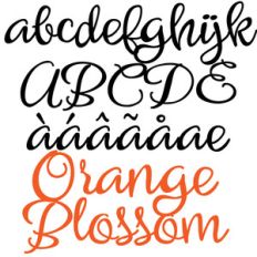 zp orange blossom