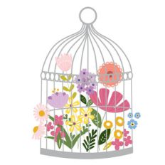 birdcage