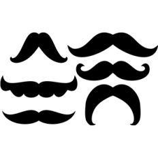 6 moustache set
