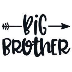 big brother arrow quote