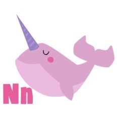 zoological - narwhale