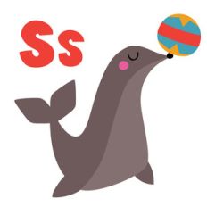zoological - seal