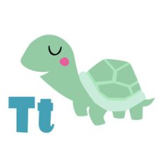 zoological - turtle