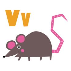 zoological - vole