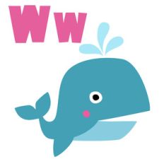 zoological - whale