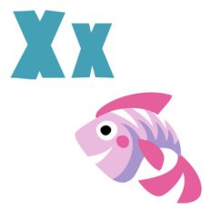zoological - x-ray fish