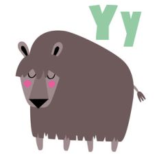 zoological - yak