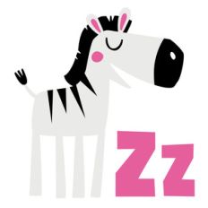 zoological - zebra