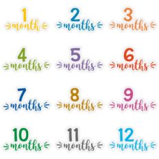 baby months 1- 12