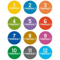 baby months 1- 12 planner