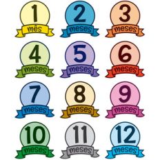mesversário 1-12 planner