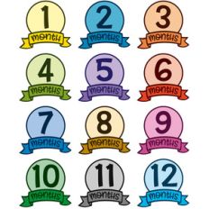 baby months 1- 12 planner