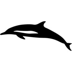 dolphin
