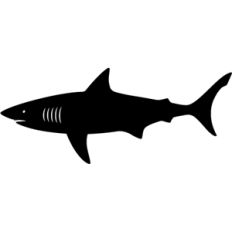 shark