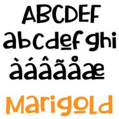 zp marigold