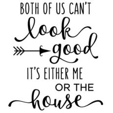 both of us can't look good - house phrase