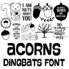 acorn dingbats font