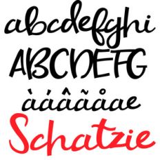 zp schatzie