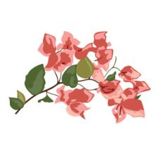 flower spray