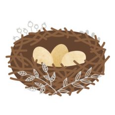 nest